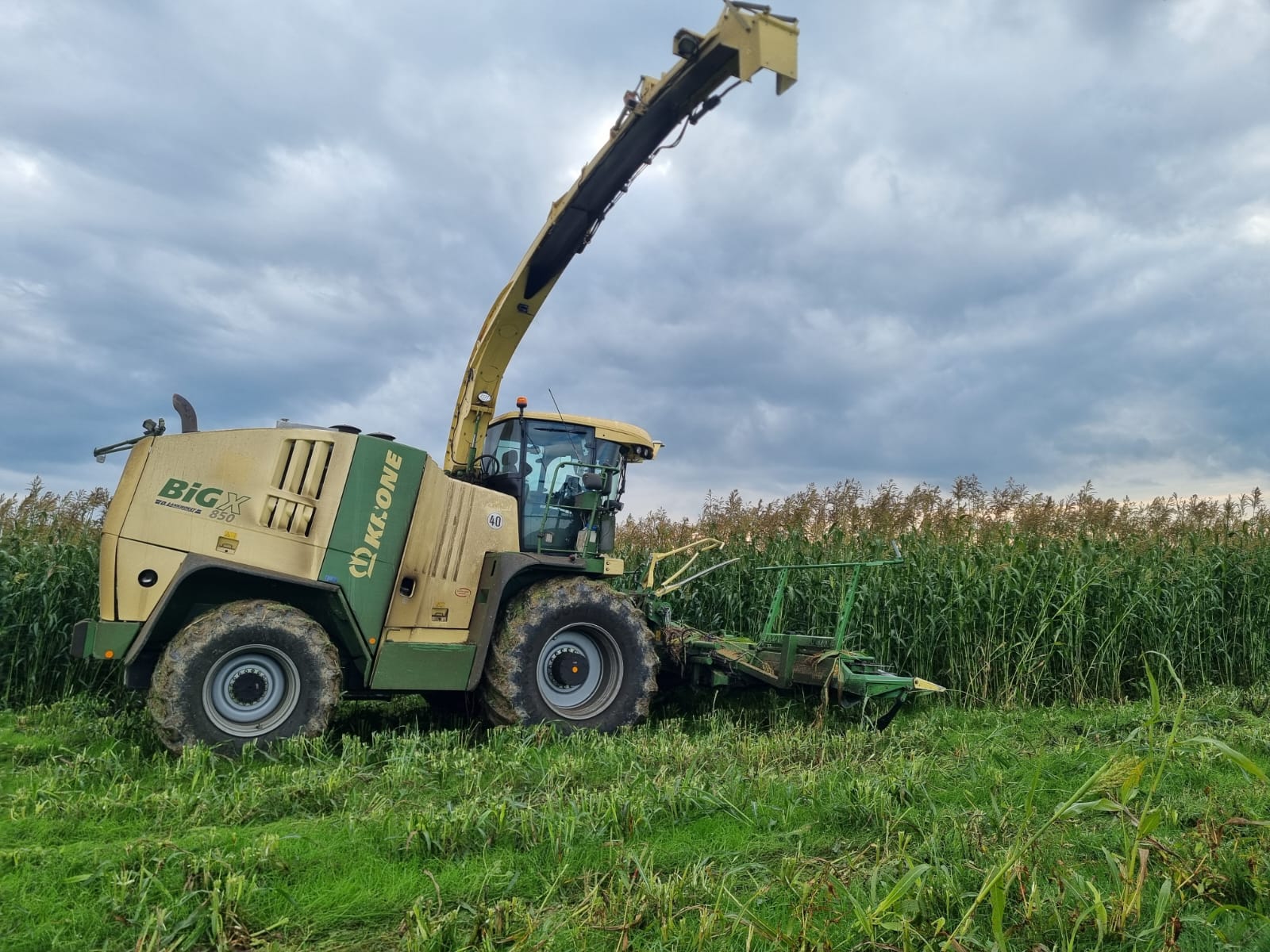 Krone BiG X beim Mais-/GPS-Häckseln